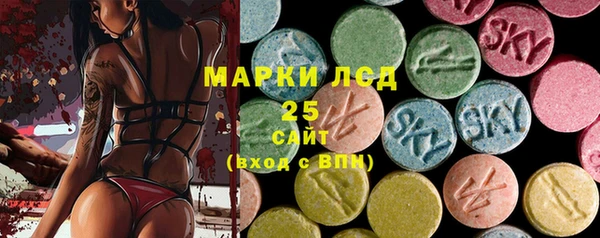 прущие грибы Богданович