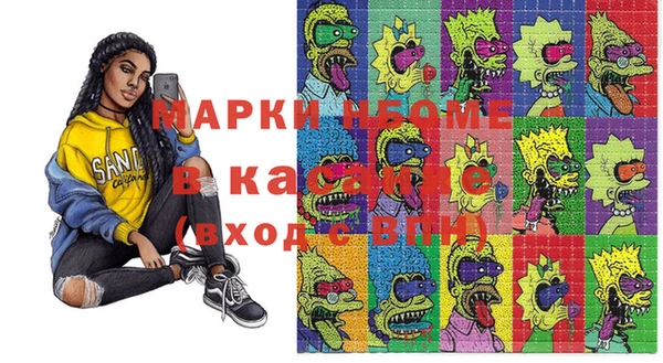 прущие грибы Богданович