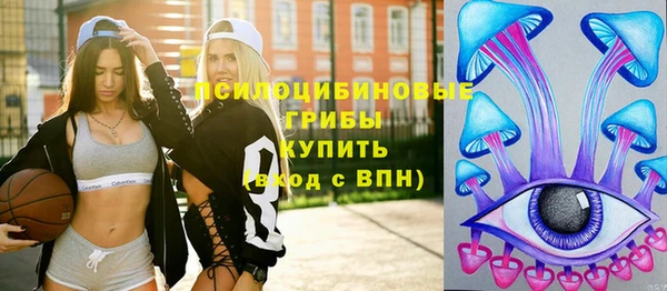 экстази Бородино