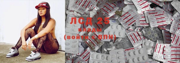 прущие грибы Богданович