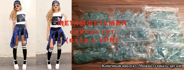 прущие грибы Богданович