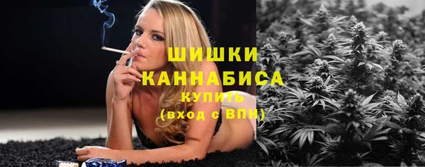 прущая мука Богородицк