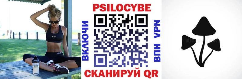 Псилоцибиновые грибы Psilocybe  Гремячинск 
